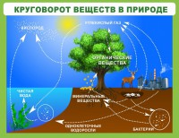 Стенд "Круговорот веществ" - fgospostavki.ru - Кубинка