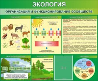 Стенд "Экология. Организация и функционирование сообществ" - fgospostavki.ru - Кубинка