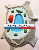 Модель барельефная "Растительная клетка" - fgospostavki.ru - Кубинка