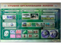 Электрифицированный стенд "Уровни организации жизни" - fgospostavki.ru - Кубинка