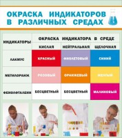 Стенд "Окраска индикаторов в различных средах" - fgospostavki.ru - Кубинка