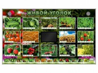Комплект оборудования "Живой уголок" (растения) - fgospostavki.ru - Кубинка