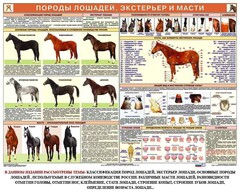 Комплект плакатов "Служебное коневодство" - fgospostavki.ru - Кубинка