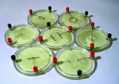 Демонстрационный комплект «Силовые линии электрического поля разных систем зарядов» - fgospostavki.ru - Кубинка