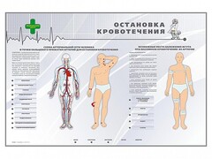Электрифицированный стенд "Остановка кровотечения" - fgospostavki.ru - Кубинка