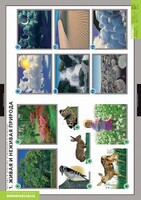 Комплект таблиц. Окружающий мир. Летние и осенние изменения в природе. - fgospostavki.ru - Кубинка