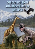 DVD "Эволюция животного мира" - fgospostavki.ru - Кубинка