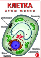 DVD "Клетка - "атом жизни" - fgospostavki.ru - Кубинка