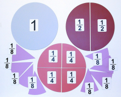 Набор магнитных карточек "Доли и дроби - 1" - fgospostavki.ru - Кубинка