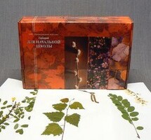 Гербарий для Начальной школы (28 видов) - fgospostavki.ru - Кубинка
