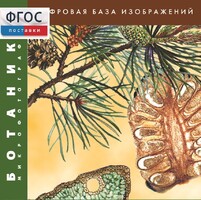 Ботаника. Микрофотографии. (Цифровая база изображений) - fgospostavki.ru - Кубинка