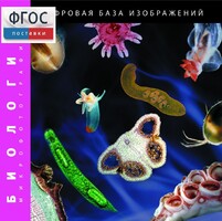 Биология. Микрофотографии. (Цифровая база изображений) - fgospostavki.ru - Кубинка