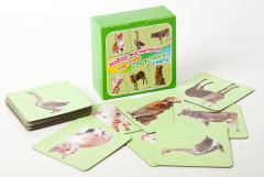 Набор магнитных карточек "Устный счет" (фон зеленый) - fgospostavki.ru - Кубинка