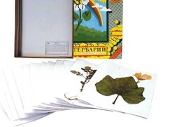 Гербарий "Сельскохозяйственные растения России" - fgospostavki.ru - Кубинка