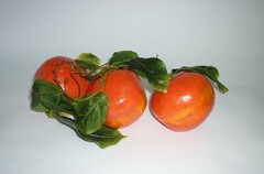 Ветка муляжей "Гранат" - fgospostavki.ru - Кубинка