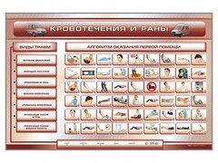Трехсекционный базовый комплект "Травмы. Кровотечения. Ожоги" для учащихся общеобразовательных учреждений - fgospostavki.ru - Кубинка