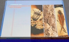 Коллекция "Палеонтологическая" (16 образцов) - fgospostavki.ru - Кубинка