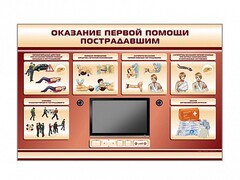Многофункциональный интерактивный стенд-тренажер "Оказание первой помощи пострадавшим" для учащихся общеобразовательных учреждений - fgospostavki.ru - Кубинка
