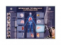 Электрифицированный стенд "Вредные привычки: наркомания" - fgospostavki.ru - Кубинка