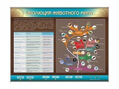 Интерактивный электрифицированный стенд "Эволюция животного мира" - fgospostavki.ru - Кубинка