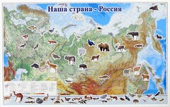 Магнитные карточки "Животные" - fgospostavki.ru - Кубинка