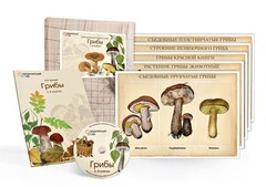 Комбинированное наглядное пособие  «Грибы» - fgospostavki.ru - Кубинка