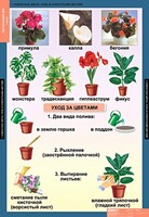 Комплект таблиц. Окружающий мир 1 класс. - fgospostavki.ru - Кубинка