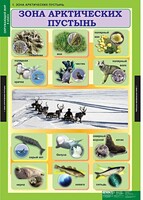 Комплект таблиц. Окружающий мир 4 класс. - fgospostavki.ru - Кубинка