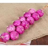 Муляжи "Связка лука" - fgospostavki.ru - Кубинка