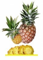 Комплект карточек "Запоминай, играй, считай" - Фрукты - fgospostavki.ru - Кубинка