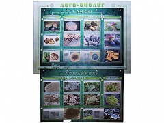 Комбинированный модульный комплекс "Лого-биолог" - fgospostavki.ru - Кубинка