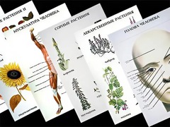 Таблицы по природоведению 1-3 класс (46 штук, формат А2) - fgospostavki.ru - Кубинка