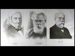 Портреты биологов (26 штук, формат А3) - fgospostavki.ru - Кубинка