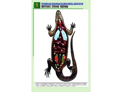 Рельефная таблица "Внутреннее строение ящерицы" (формат А1, матовое ламинирование) - fgospostavki.ru - Кубинка
