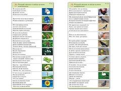 Комплект карточек (10) "Обучающий калейдоскоп. Природа" - fgospostavki.ru - Кубинка