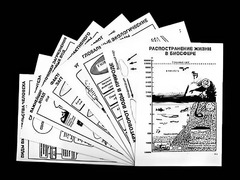 Комплект таблиц по экологии "Биосфера-глобальная экосистема.Вмешательство человека."(ламинированные, А4, 15штук) - fgospostavki.ru - Кубинка