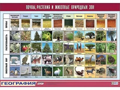 Таблица демонстрационная "Почвы, растения и животные природных зон" (винил 100*140) - fgospostavki.ru - Кубинка