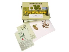 Гербарий "Для начальной школы" (30 видов, с иллюстрациями) - fgospostavki.ru - Кубинка
