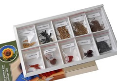 Коллекция "Плоды сельскохозяйственных растений" - fgospostavki.ru - Кубинка