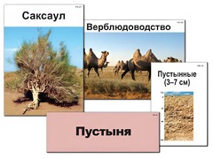 Модель-аппликация "Природные зоны России" (ламинированная) - fgospostavki.ru - Кубинка