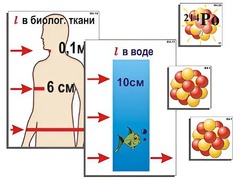 Модель-аппликация "Явление радиоактивности" (ламинированная) - fgospostavki.ru - Кубинка