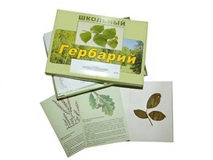 Гербарий "Дикорастущие растения" (30 видов, с иллюстрациями) - fgospostavki.ru - Кубинка