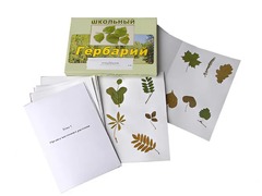 Гербарий "Морфология растений" (6 тем, 30 видов) - fgospostavki.ru - Кубинка