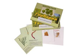 Гербарий "Основные группы растений. Грибы. Лишайники" (53 листа, с иллюстрациями и фотографиями) - fgospostavki.ru - Кубинка