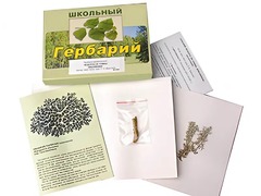 Гербарий "Водоросли. Грибы. Лишайники" (раздаточный) - fgospostavki.ru - Кубинка