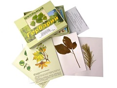 Гербарий "Жизненные формы цветковых растений" (раздаточный) - fgospostavki.ru - Кубинка