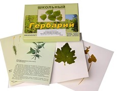 Гербарий "Систематика растений. Высшие споровые и семенные" (раздаточный) - fgospostavki.ru - Кубинка