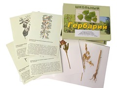 Гербарий "Систематика растений. Семейство Бобовые. Злаки" (раздаточный) - fgospostavki.ru - Кубинка