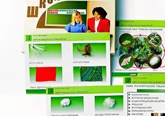 Коллекция "Шелк и продукты его переработки" (средняя школа) - fgospostavki.ru - Кубинка