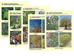 Гербарий фотографический по географии - fgospostavki.ru - Кубинка